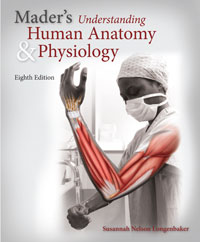 Maders Understanding Human Anatomy & Physiology