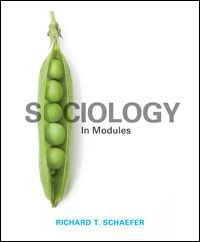 Schaefer, Sociology: In Modules