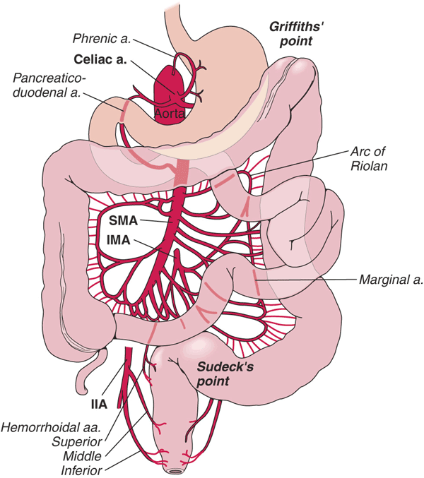 Figure 279 2