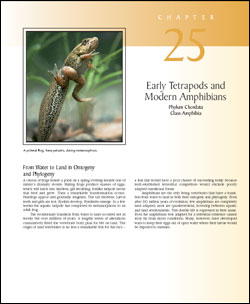 Early Tetrapods and Modern Amphibians