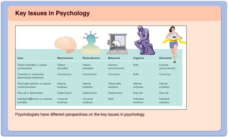 Key Issues In Psychology