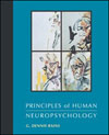 Rains, Principles of Human Neuropsychology Book Cover
